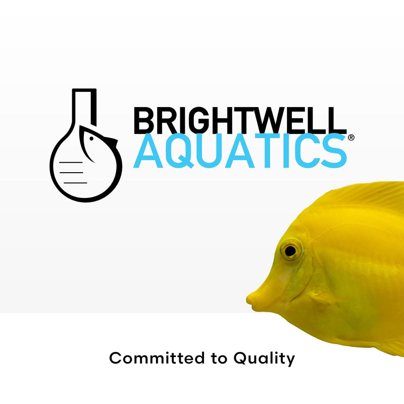 Brightwell Aquatics Florin-K High-Purity Potassium Supplement for Freshwater Aquariums Supports Photosynthesis, Growth & Enzyme Activation, Shrimp Safe, 500 ml 500-ml