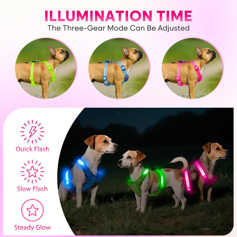 Light Up Small Dog Harness, LED Rechargeable Harness for Small Sized Dog, No Pull Reflective Adjustable Dog Vest Harness with Soft Light, Glow-in-The-Dark for Night Safety Walking (Pink) Pink - PawsPlanet Australia