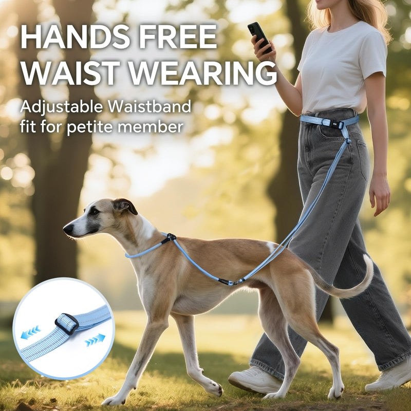QQPETS Adjustable Slip Lead Dog Leash, Hands Free Waist Leash for Dog Walking, Reflective Training Lead with 360° Swivel Anti-Tangle, 4-7 ft Length for All Breeds Blue Gradient - PawsPlanet Australia