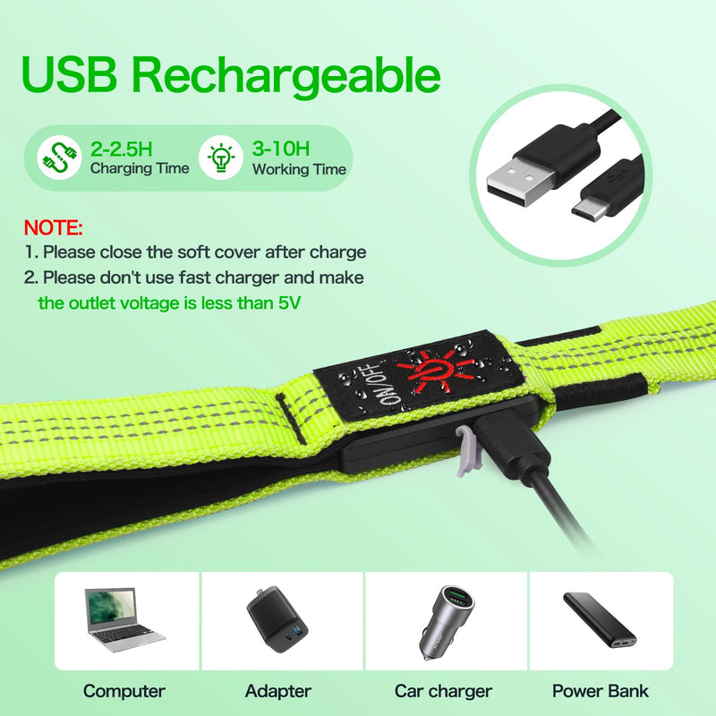 Weesiber Glowing Light Up LED Dog Leash - 4ft USB Rechargeable Flashing Nylon Leash for Small Medium Large Dogs, 3 Flash Modes (Green) Green