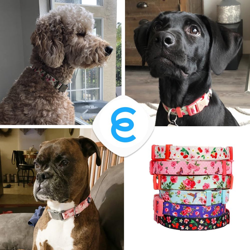 Blueberry Pet Dog Collar - Turquoise Floral Rose Print, Adjustable for Small Dogs, Neck 12"-16", Pink Puppy Collar with Eco-Friendly Buckles, Ideal Small Dog Collars for Female Dogs Grey - PawsPlanet Australia