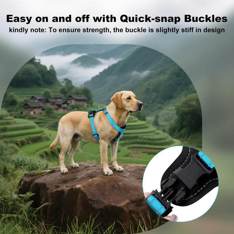 Plutus Pet Adjustable No Pull Dog Harness with Leather Accents, Heavy Duty Reflective Nylon Vest for Training, Hiking, Easy Walk Harness for Small, Medium, Large Dogs (Light Blue, XL) Light Blue - PawsPlanet Australia