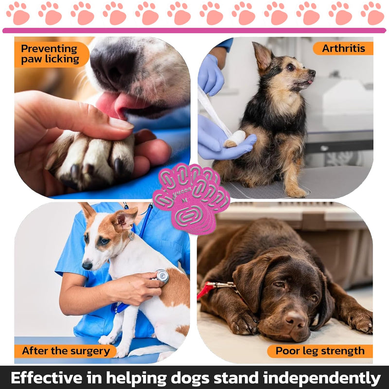 yucca Dog Anti Slip Paw Grips Traction Pads, Dog Paw Protector with Stronger Adhesive, Toe Grips for Dogs from Slipping on Hardwood Floors, Dog Shoes Booties Socks Replacement for Older Dogs M(4-20lbs)-12*4 Pcs - PawsPlanet Australia