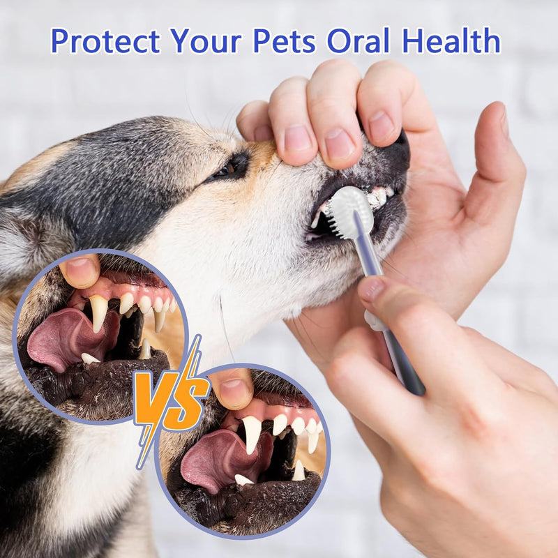 3PCS Cat Toothbrush Kit, Dog Toothbrush Kit, Pet Toothbrush Set for Cats and Dogs - Complete Oral Care with Soft Bristles - Ideal for Teeth Cleaning, Dental Hygiene, Plaque Removal - PawsPlanet Australia