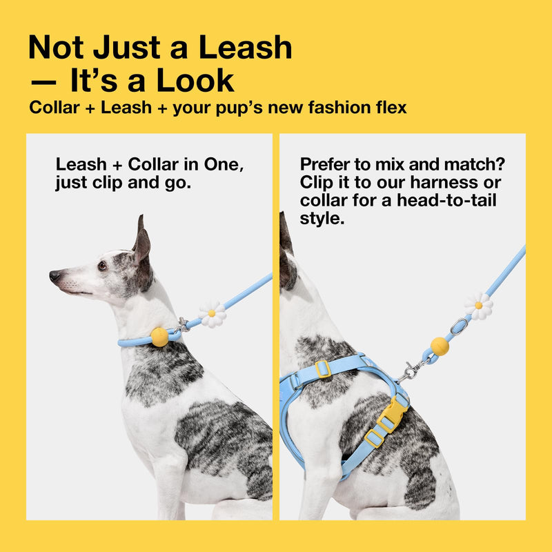 VETRESKA Hands-Free Dog Leash, 8FT Adjustable Rope Leash for Medium Large Dogs, Waist/Crossbody Slip Lead Leashes for Walking, No Pull Dog Leashes with Bag Dispenser, Clip, 3 in 1 Walk Kit (Daisy) Daisy Blue - PawsPlanet Australia
