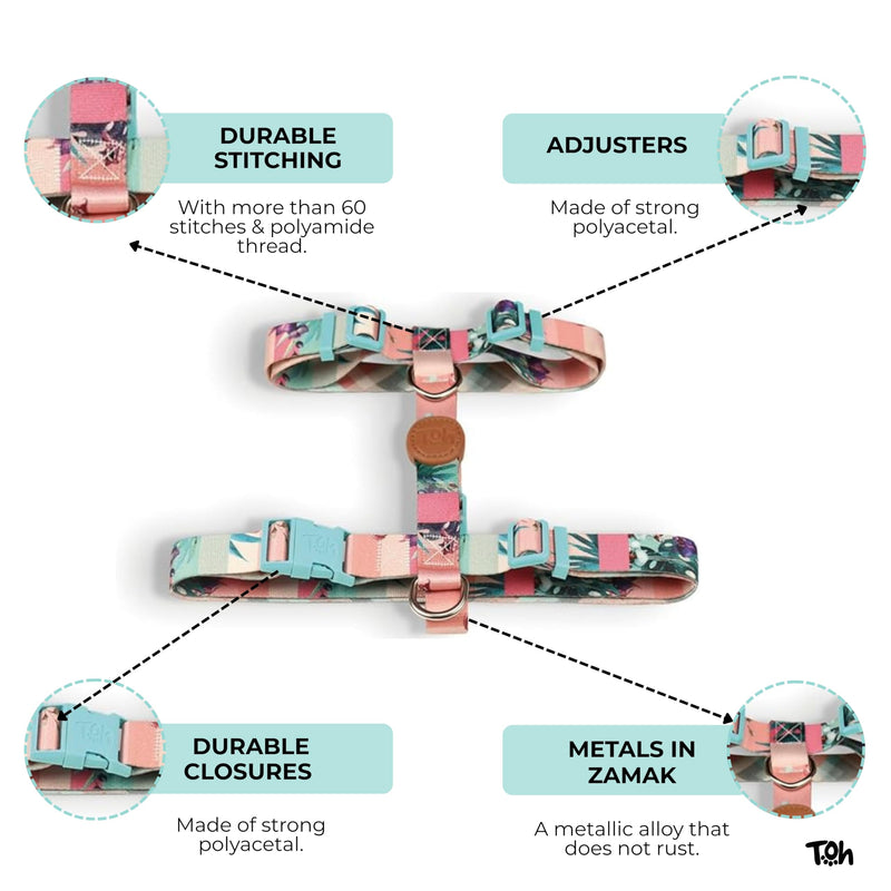 Dog Harness and Leash Set, Stylish Design Pet Harness Set with Adjustable Straps, Easy to Use and Comfortable Cat Harness and Leash, Perfect for Pets Training Outdoor Walking (Laguna, XSmall) Laguna - PawsPlanet Australia