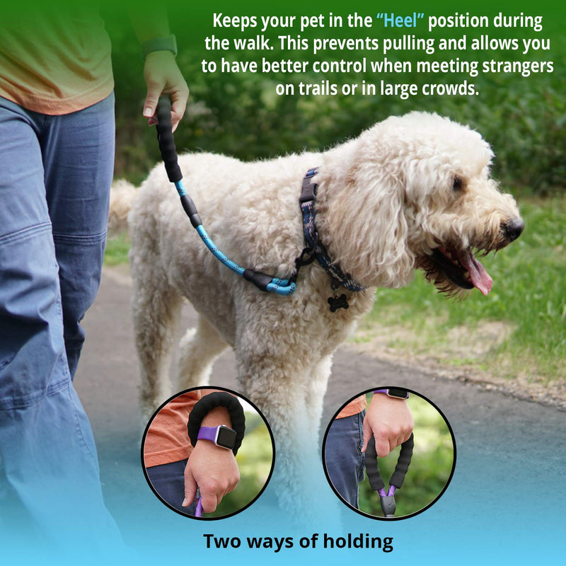 STJ Company Short Training Traffic Leash for Dogs l Teach Them to Walk Without Pulling l 18 Inch Rock Climbing Rope with Swivel Metal Snap-Bolt l Take Your Pup Near Crowds (18, Purple) 18" - PawsPlanet Australia