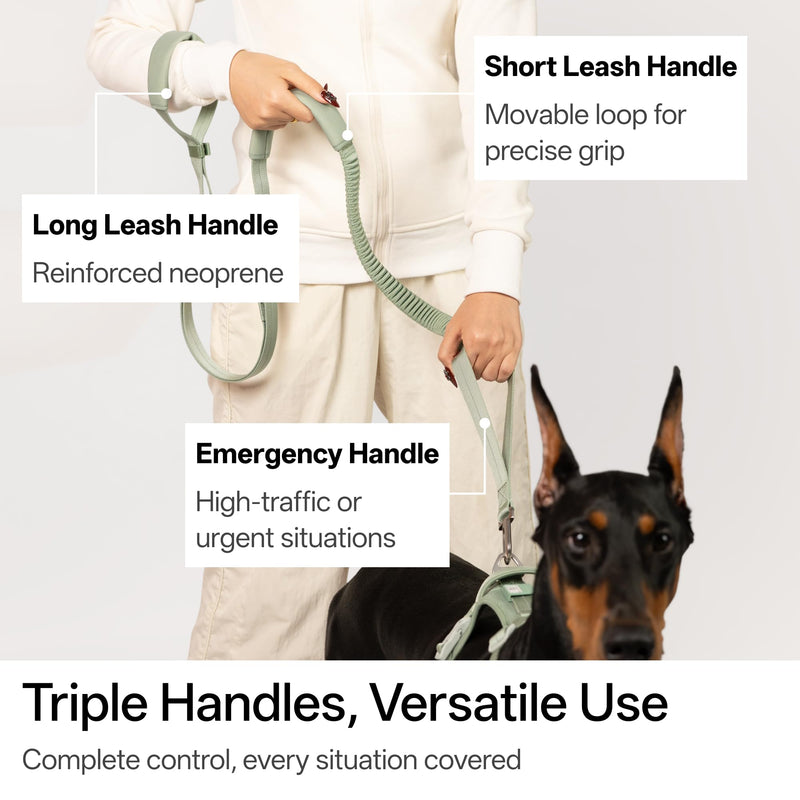 Hands Free Dog Leash Adjustable Versatile Crossbody Waist Dog Leash Reflective Comfortable Padded Handles Shock Absorbing Walking Lead for Small Medium Large Dogs (Light-Burgundy, M) Light-Burgundy
