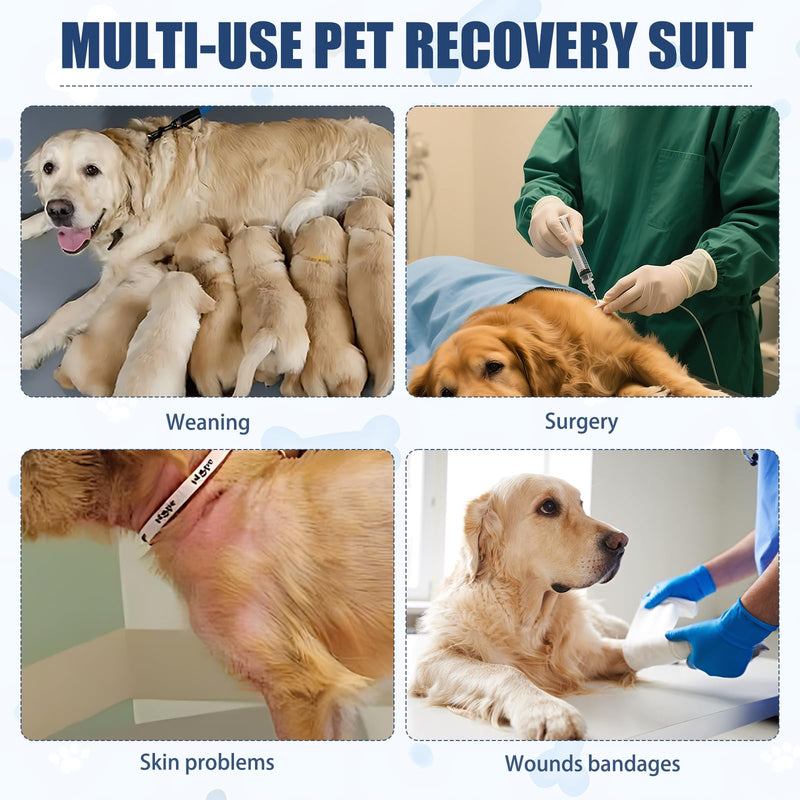 Pack of 2 Dog Bodysuit After Surgery Male, Dog Body Surgery Body Castration Dog Surgery After Surgery, Wound Protection, Soft Recovery Suit, Breathable, Alternative to Elizabeth Collar (Blue)