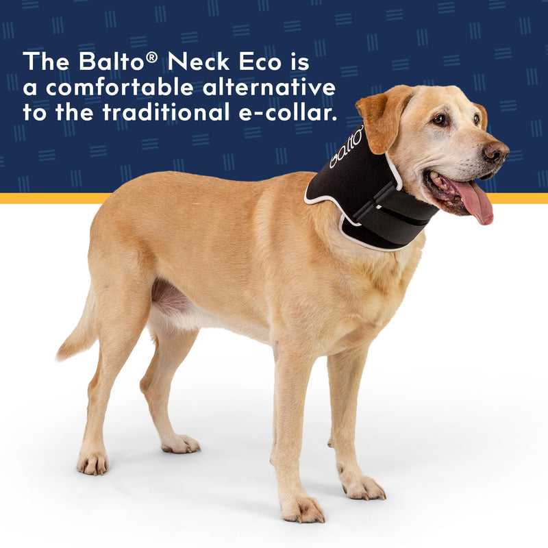 Balto Neck Eco E-Collar Alternative – Dog Recovery Collar – Padded Dog Cone - Pre/Post Surgery Helps Protect Wounds and Rashes- Body Only Protection (Small) Small - PawsPlanet Australia