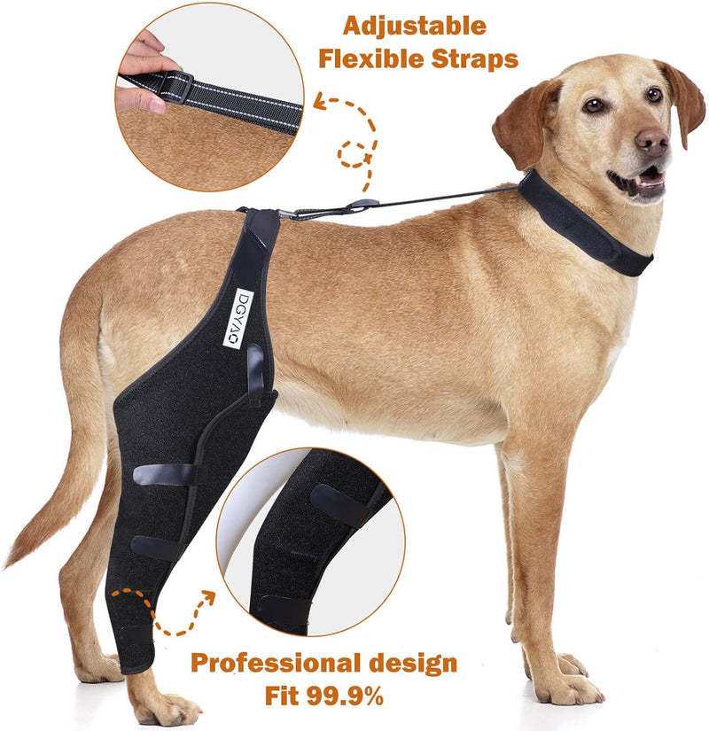 Dog Knee Brace for Torn ACL Hind Leg, Cruciate Ligament Injuries, Patella Dislocation, Double Straps and Comfortable Dog Leg Braces for Back Leg Support (Left- X Large) Left- X large - PawsPlanet Australia