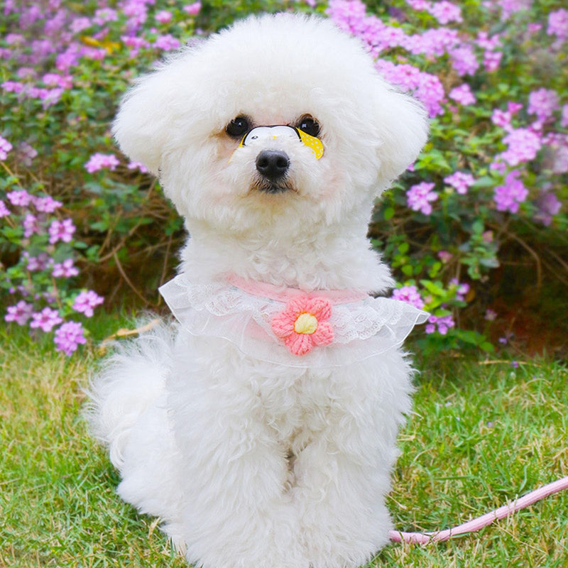 Cat Harness Collar and Leash Set, Sweet Lace Floral Kitten Collar, Escape Proof Puppy Chest Harness, Adjustable Cute Harness Leash Set for Cat Puppy Dog Outdoor Walking (Pink, M) Pink - PawsPlanet Australia