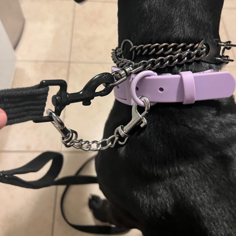 Dog Collar Safety Clip Metal Double Ended Backup Dog Collar Clip for Prong Collar Dog Harness Collar Connector (Medium) Medium - PawsPlanet Australia