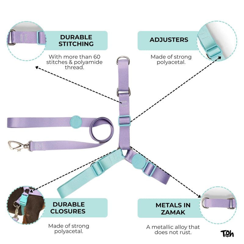 No Pull Dog Harness and Leash Set - Easy to Use and Comfortable - Animal Print Pet Harness Set with Adjustable Straps - Perfect for Pets Training Outdoor Walking (Black, Small) Black - PawsPlanet Australia