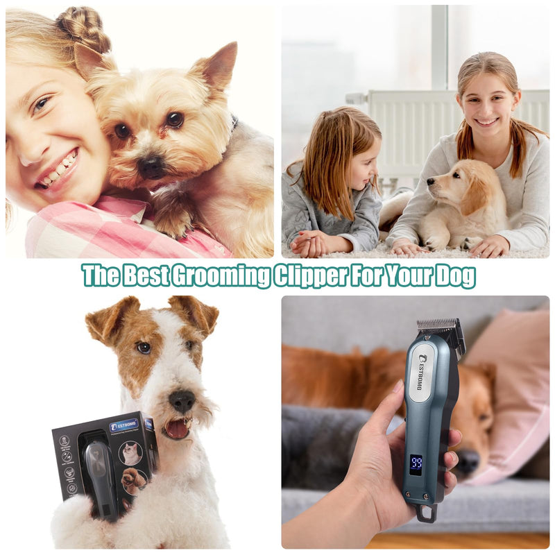 BESTBOMG Professional Dog Grooming Clippers for Thick Heavy Coats Low Noise High Power Rechargeable LED Display Cordless Pet Shaver for Small & Large Dogs Cats Dogclipper Kit1 - PawsPlanet Australia