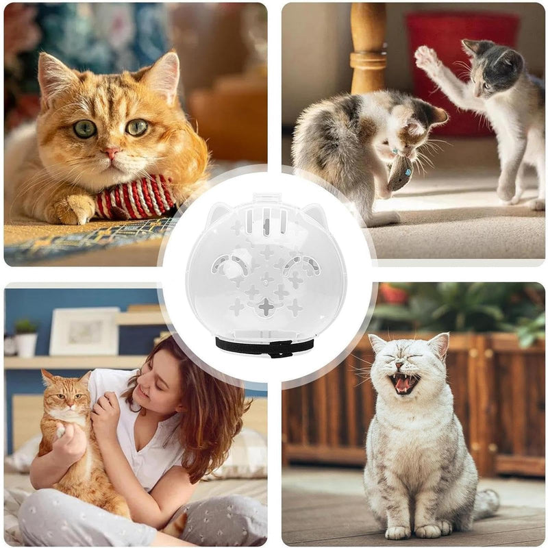 Transparent cat muzzle, adjustable bite protection, kitten astronaut helmet, chew guard | Small animal shaving system, safety device for grooming, for prevention, grooming aid