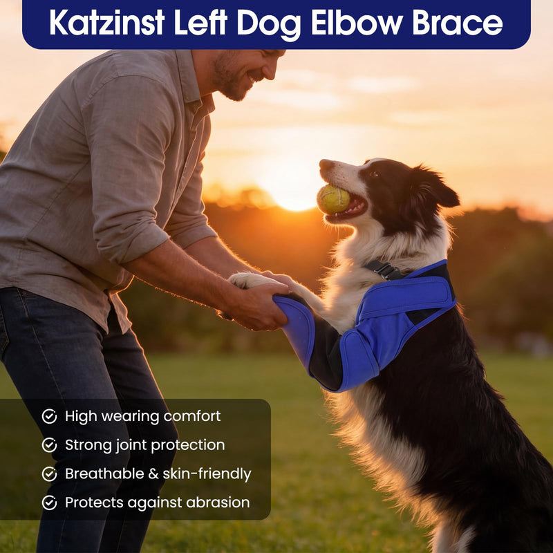 Front Leg Recovery Sleeve, Elbow Protection for Dogs - Dog Recovery Cuff, Anti-Licking, Clean & Dry - Blue, 4XL Dog thigh protector