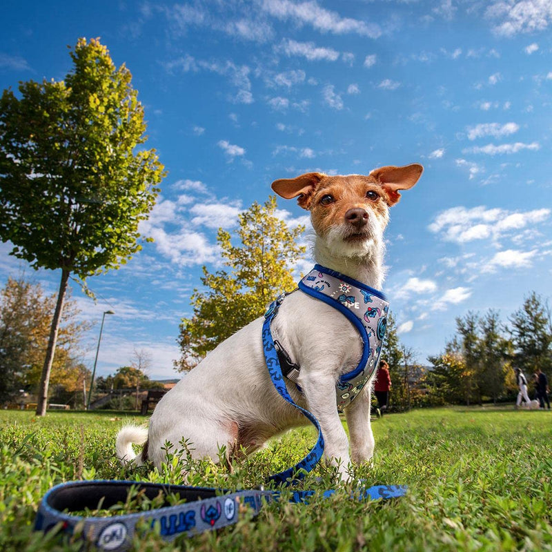 CERDÁ LIFE'S LITTLE MOMENTS Stitch Dog Harness XS-S, Adjustable Pet Harness for Small Dogs and Puppies, Lightweight Dog Walking Harness with Stitch Design Multicolor