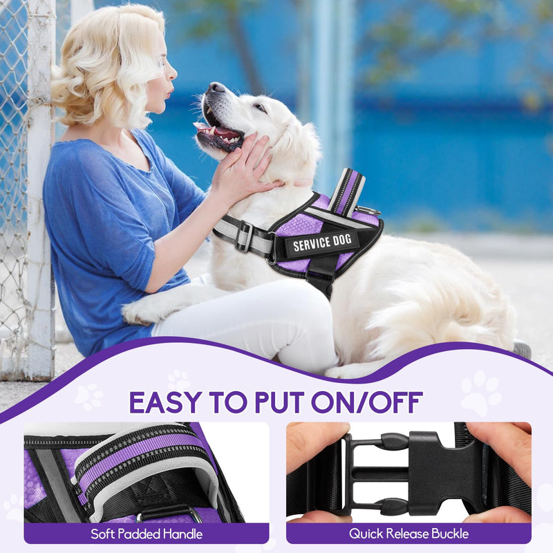 Service Dog Vest Harness and Leash Set, Animire in Training Dog Harness with 10 Dog Patches, Reflective Dog Leash with Soft Padded Handle for Small, Medium, Large, and Extra-Large Dogs (Purple, M) Purple - PawsPlanet Australia