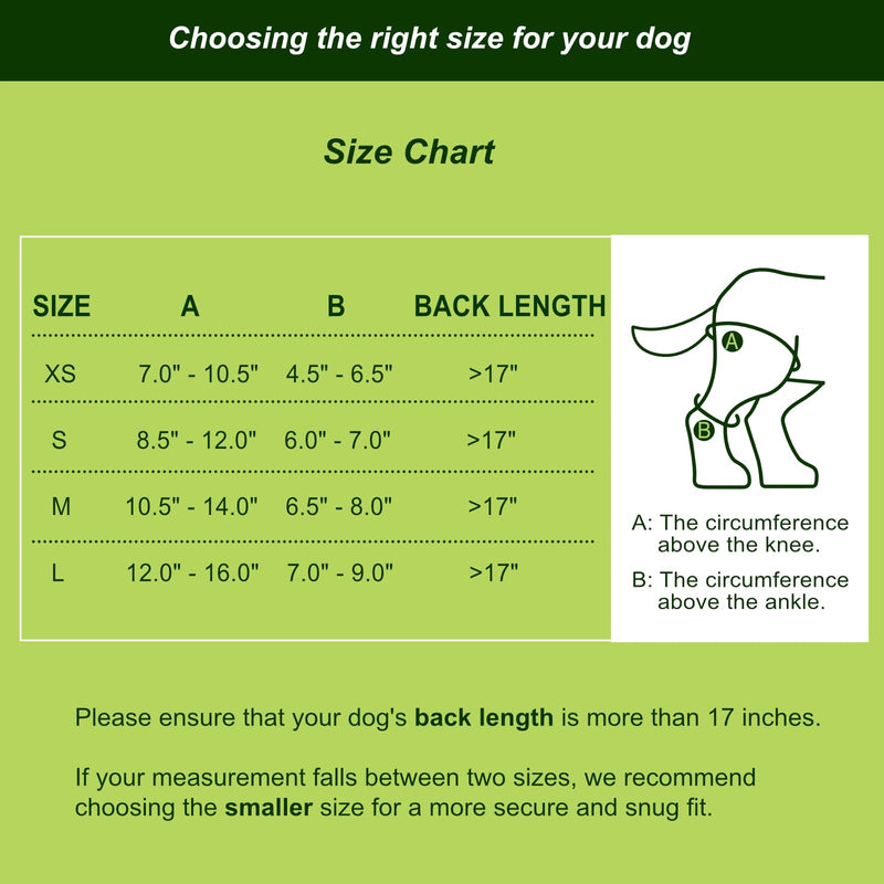 Dog Knee Brace for Hind Legs with Extra Collar & Strap - Relieves Joint Pain & Discomfort, Enhances Mobility | Supports Recovery from Osteoarthritis, Torn ACL/CCL, Luxating Patella | Adjustable (L) Large - PawsPlanet Australia