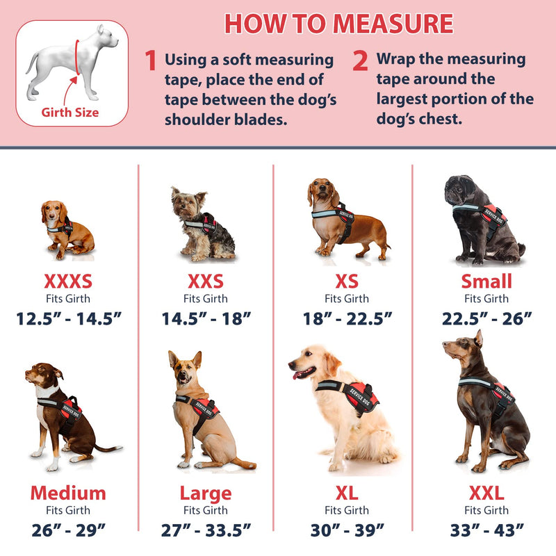 Industrial Puppy Service Dog Vest with Hook and Loop Straps & Matching Service Dog Leash Set - Harnesses from XXS to XXL - Service Dog Harness Features Reflective Patch and Comfortable Mesh Design XXS, Fits Girth 14.5-18" Hot Pink - PawsPlanet Australia