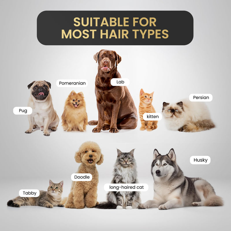 Pet Grooming Comb for Dogs and Cats - Detangling, Dematting, and Massaging with Self-Cleaning Button - Pet Care, New Puppy Gift, New Kitten Gift, Pet Grooming, Luxury Pet Care, Undercoat Rake, Black - PawsPlanet Australia