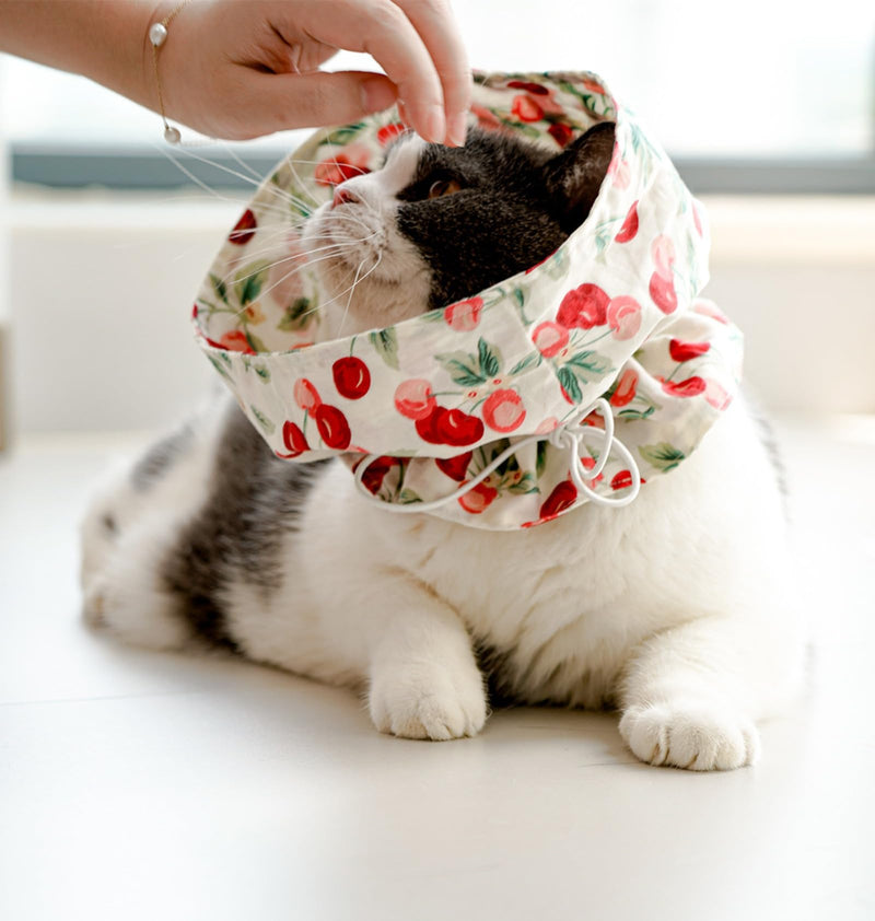 OMEM Soft Cat Cone for Post-Surgery Recovery, 100% Cotton, Adjustable and Foldable, E-Collar, Comfortable, Hand Washable, Prevents Wound Licking for Cats and Kittens (Berry)