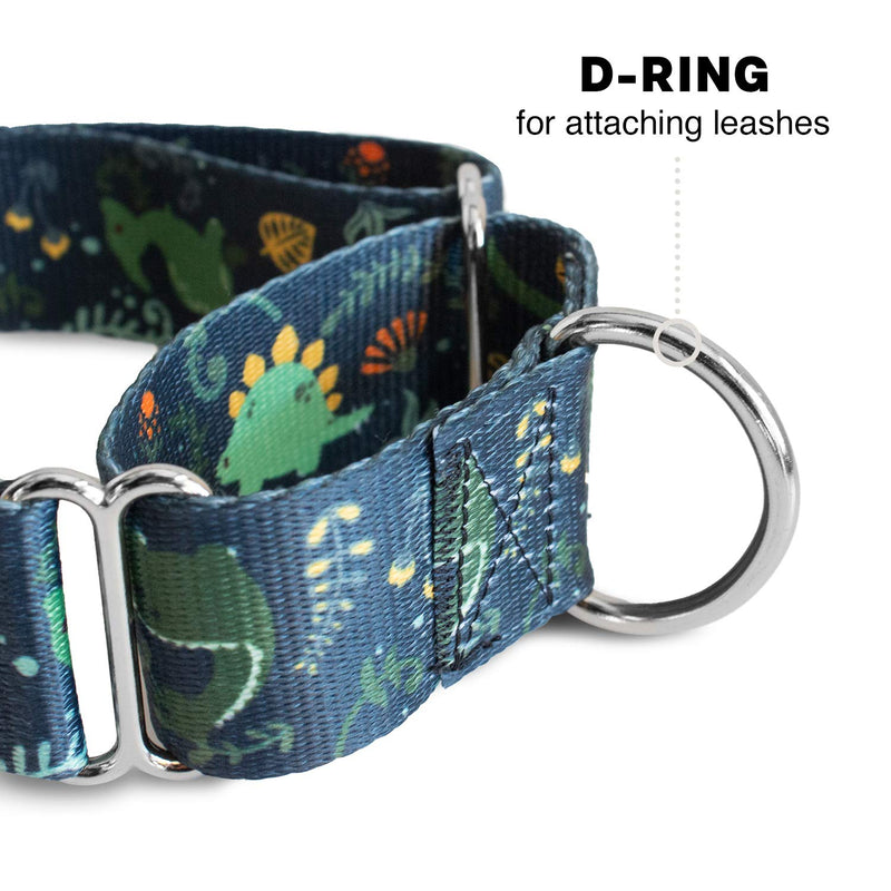Downtown Pet Supply - Martingale Collar for Dogs - Dog Training Collar - Big, Wide & Thick Dog Collar - Escape-Proof, Weatherproof, Durable and Comfortable - Dino - Extra Large Dog Collar X-Large: 18.5"-34 - PawsPlanet Australia