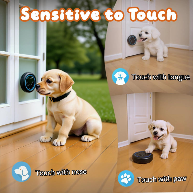 DFQ Wireless Pet Doorbell for Potty Training to Go Outside, Waterproof Pet Bell with 2 Touch Buttons and 1 Receiver, 1000 Feet Range, 60 Melodies & Adjustable Volume, Black 2 Button - PawsPlanet Australia
