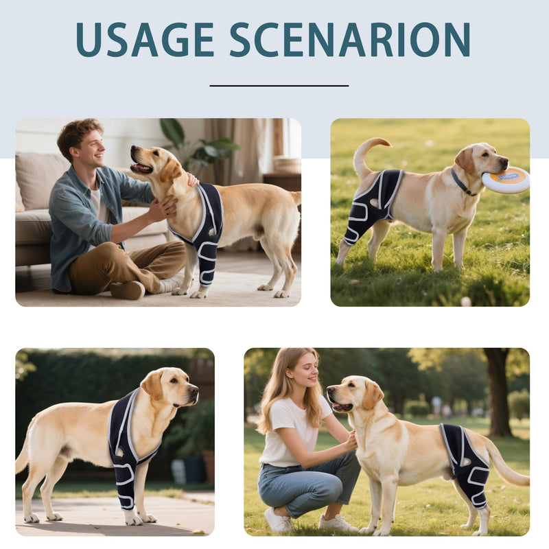 Dog Knee Brace for Torn ACL Hind Leg, Adjustable Four-Legged Universal Dog Knee Brace for Arthritis, Patellar Luxation, Hip Dysplasia, Relieve Joint Pain and Ligament Damage,XS XS