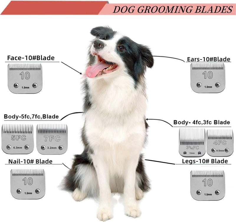 size 40/10 Detachable Pet Dog grooming Ceramic Blades Compatible with Oster A5,Wahl KM10 Series clipper,Cut Length 1/100 to 1/16 in,2 Count 10/40 - PawsPlanet Australia