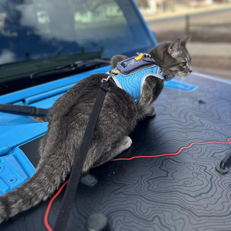 TRAVEL CAT The Pathfinder Cat Harness with GPS Tracker Pocket - Powered by Tractive Cat Harness Escape Proof - Walking Escape Proof Harness for Small, Large Cat, Kitten (Blue, Large) Blue - PawsPlanet Australia