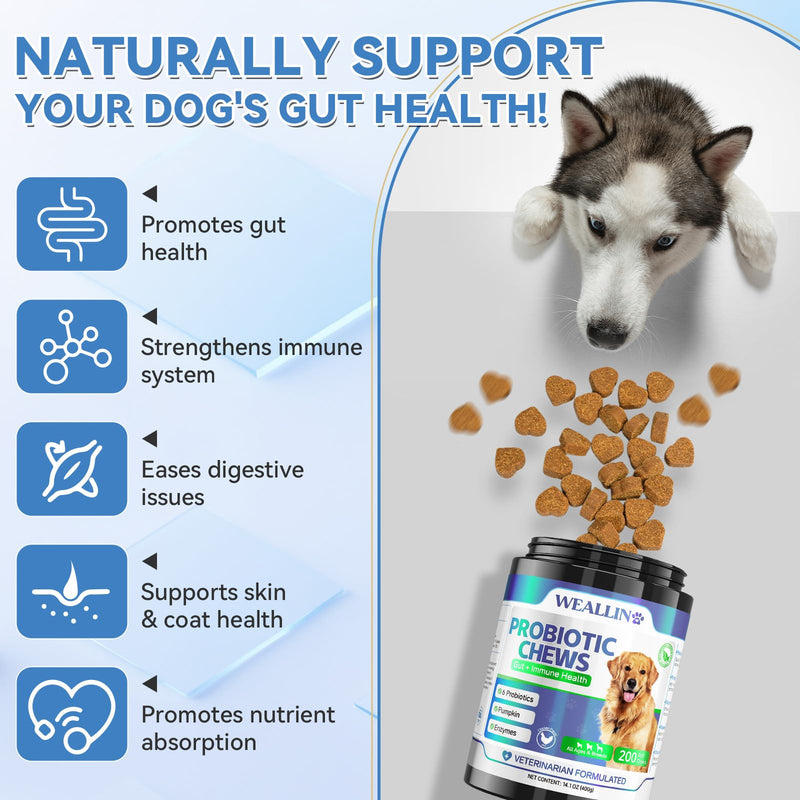 Probiotics for Dogs - Dog Probiotic Chews 200 Chews for Gut Health, Digestive Support & Itchy Skin Relief Pet Diarrhea Gas Treatment - Probiotics, Digestive Enzymes, Prebiotics, Pumpkin