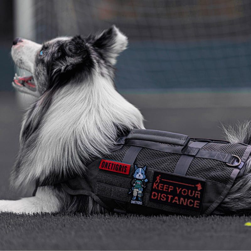 OneTigris Tactical Dog Harness for Medium Dogs No Pull Breathable Military Dog Molle Vests with Handles, Service Dogs Vest Harness for Walking Hiking Training Grey M - PawsPlanet Australia