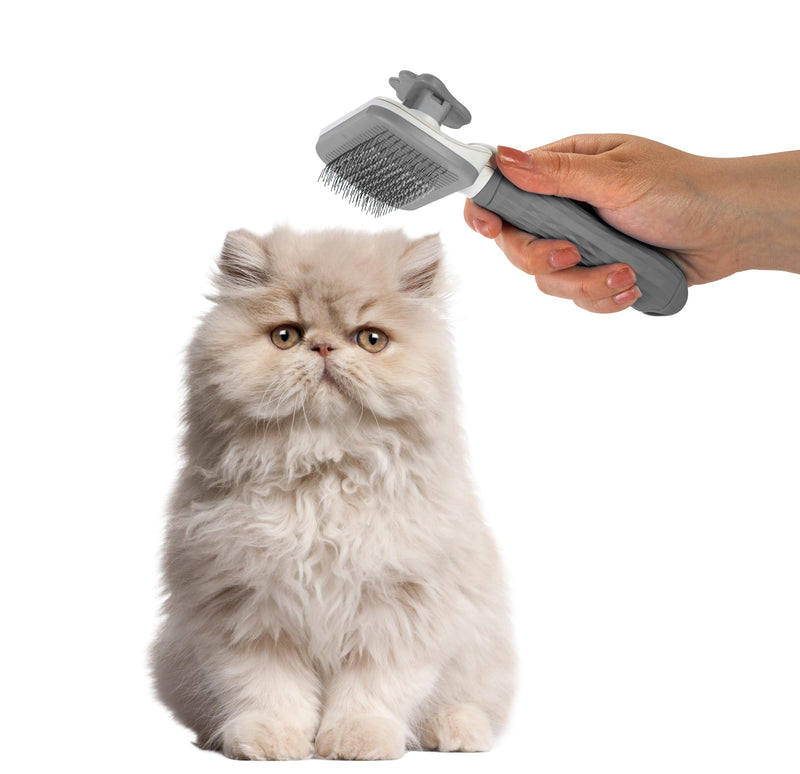 Self Cleaning Slicker Brush - PINK/GREY/BLUE - 1Pc- Pet Grooming Shedding Brush for Dogs and Cats - Remove Loose Undercoat & Tangles - Massaging Tool for Long or Short Hair Grey - PawsPlanet Australia