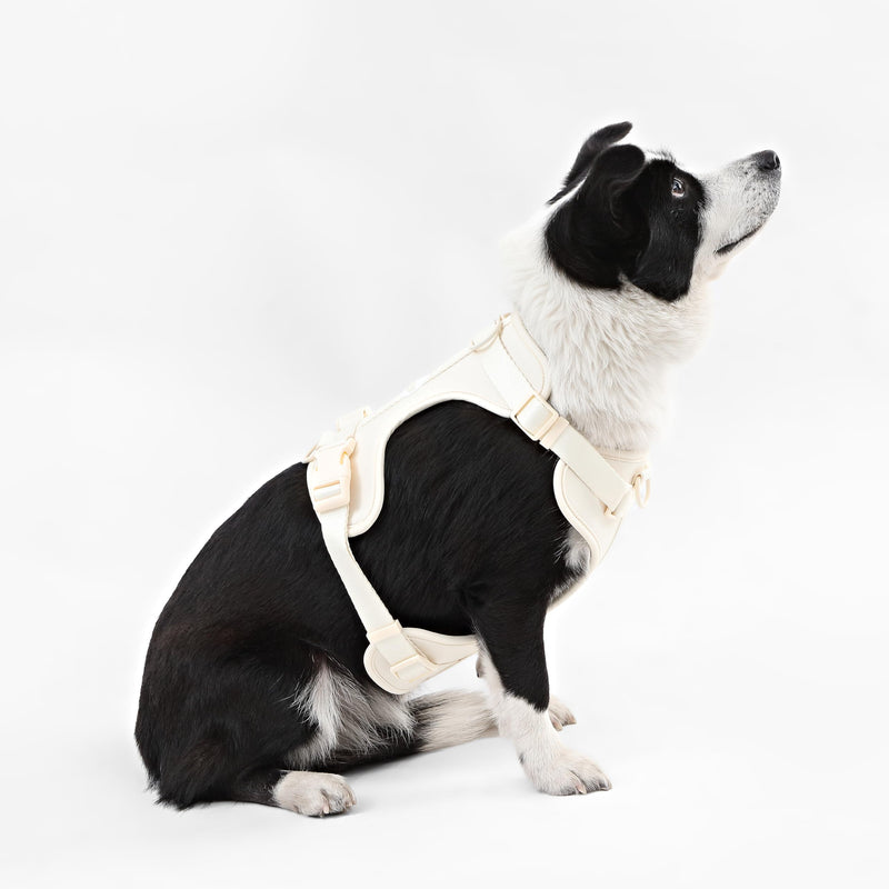 HNS1003L Arlo Large Adjustable Soft Padded No Pull Pet Harness with 3 Buckles and 3 Leash Clips, Bailey Almond Large (Chest: 24 - 37") - PawsPlanet Australia