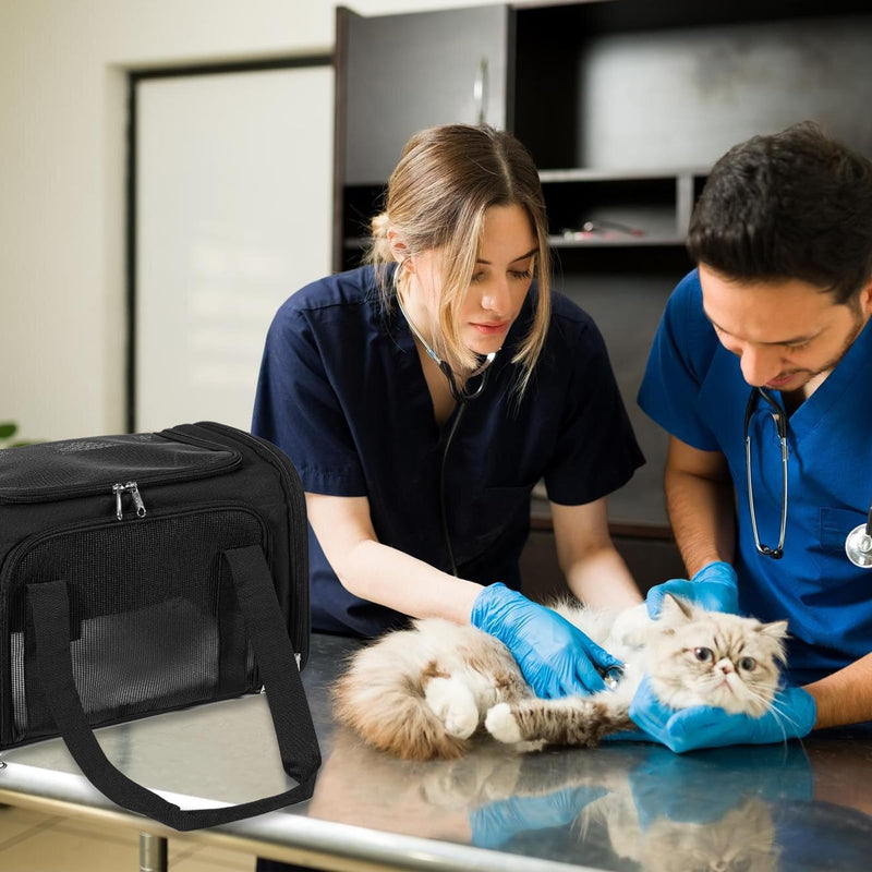 Cat Carrier, Dog Carrier, TSA Airline Approved Pet Carrie for Small Medium Cats, Dog Puppy Carriers for Small Dogs (Black, One Size) - PawsPlanet Australia