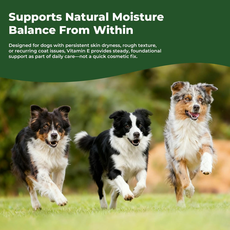 Vitamin E for Dogs, Liquid Vitamin E Oil for Skin & Coat Support, Supports Natural Moisture Balance & Cellular Health, Easy-to-Mix Drops, 2 fl oz (60 mL)