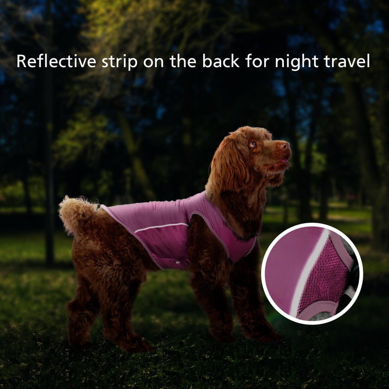 2 Pack UPF 50+ Sun Protection Sports Fan Pet T-Shirts, Quick-Dry Soft Clothes for Medium Large Dogs Girl, Tshirts with Reflective Strip Sleeveless Vest Pet Apparel P23ST00504XXXL 3XL(chest:21.5-26.7") 2Pack - Leopard - PawsPlanet Australia