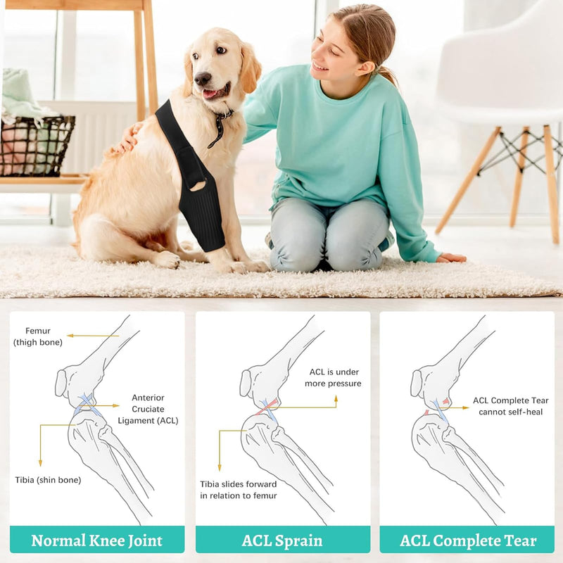 2024 Upgraded Dog Hip Brace Large Breed Dog Knee Brace- Dog Acl Brace Hind Leg & Joint Relief - Dog Leg Braces - Back Leg for Support (M) Medium - PawsPlanet Australia
