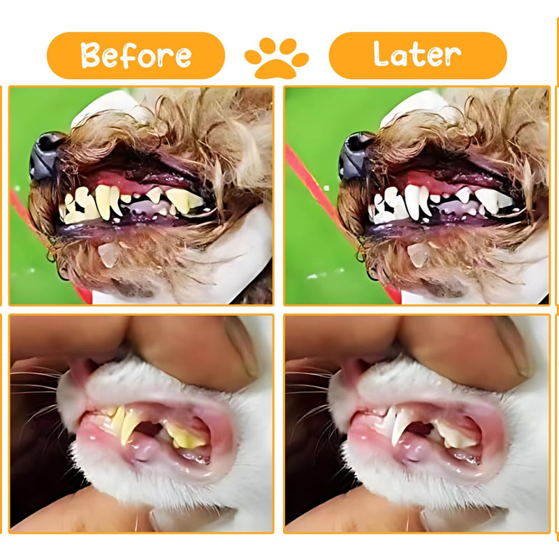 Pack of 2 Teeth Brushing Dog Toothbrush Cat Toothbrushes Dog Toothbrush for Pet Dental Care Triple Head Toothbrush for Easy Oral Care (Red and Yellow)