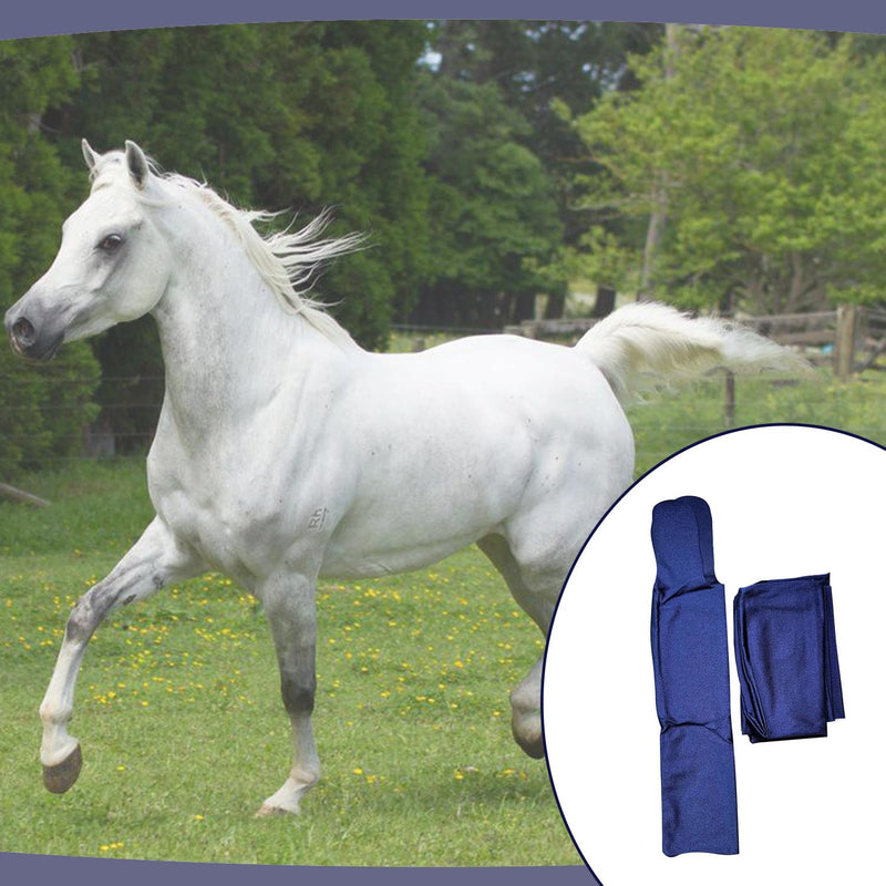 Ranch Hand Horse Mane Bags - Protect Horse's Mane from Wind, Sun, Mud, Preventing Tangles, Rubbing Out, and Breakage | Made with Lycra and Nylon (Dark Blue) Dark Blue - PawsPlanet Australia