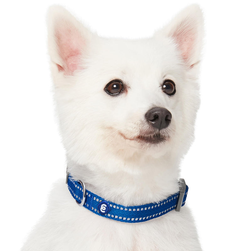Blueberry Pet Essentials Reflective Dog Collar & Leash Set, Adjustable for Small Dogs | Safe Walking Gear for Pet Parents, Puppy Training & Daily Use SmallDogs, Navy - PawsPlanet Australia