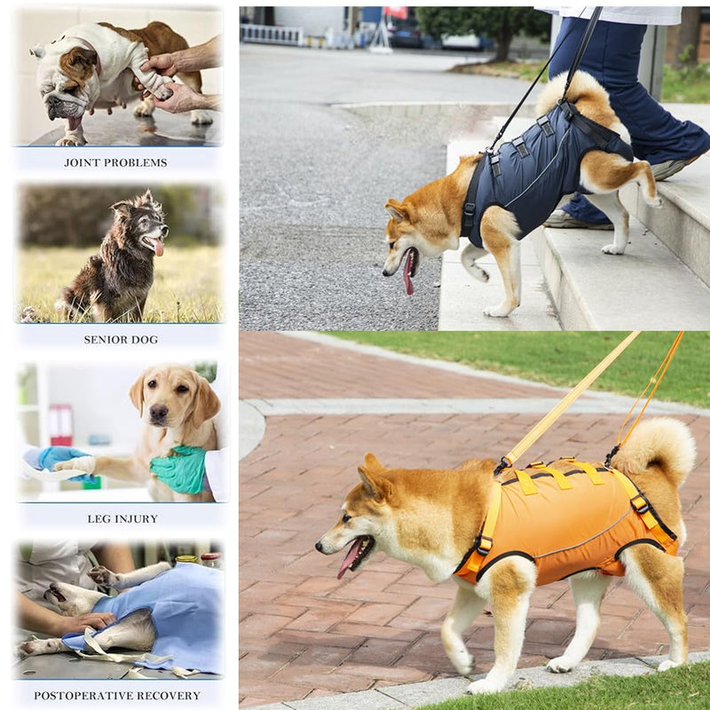 Dog Lift Harness,Dog Assistance Strap,Pet Support & Rehabilitation Sling Lift,Adjustable Padded Breathable Straps for Senior,Joint Injuries,Disabled Dogs Navy Blue Large - PawsPlanet Australia