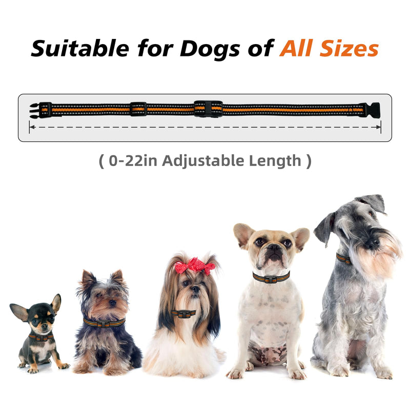 Tiniest Dog Shock Collar, Lightest Dog Training Collar with Remote for Small Dogs 5-15lbs & Medium Large Dogs/Puppies, Waterproof, Rechargeable, 1300ft Range (Orange&Ultra Tiny) Orange Ultra Tiny - PawsPlanet Australia