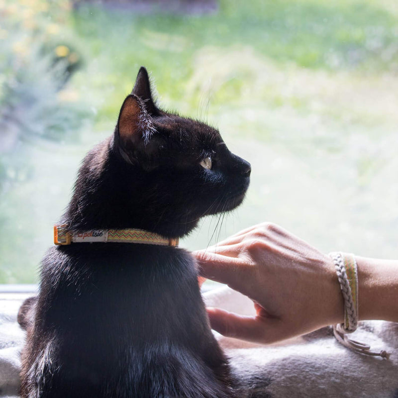 Pettsie Breakaway Cat Collar & Matching Friendship Bracelet – Soft Cotton, Safe & Comfortable, Adjustable 7.5"-11.5", Yellow 7.5"-11.5" Neck