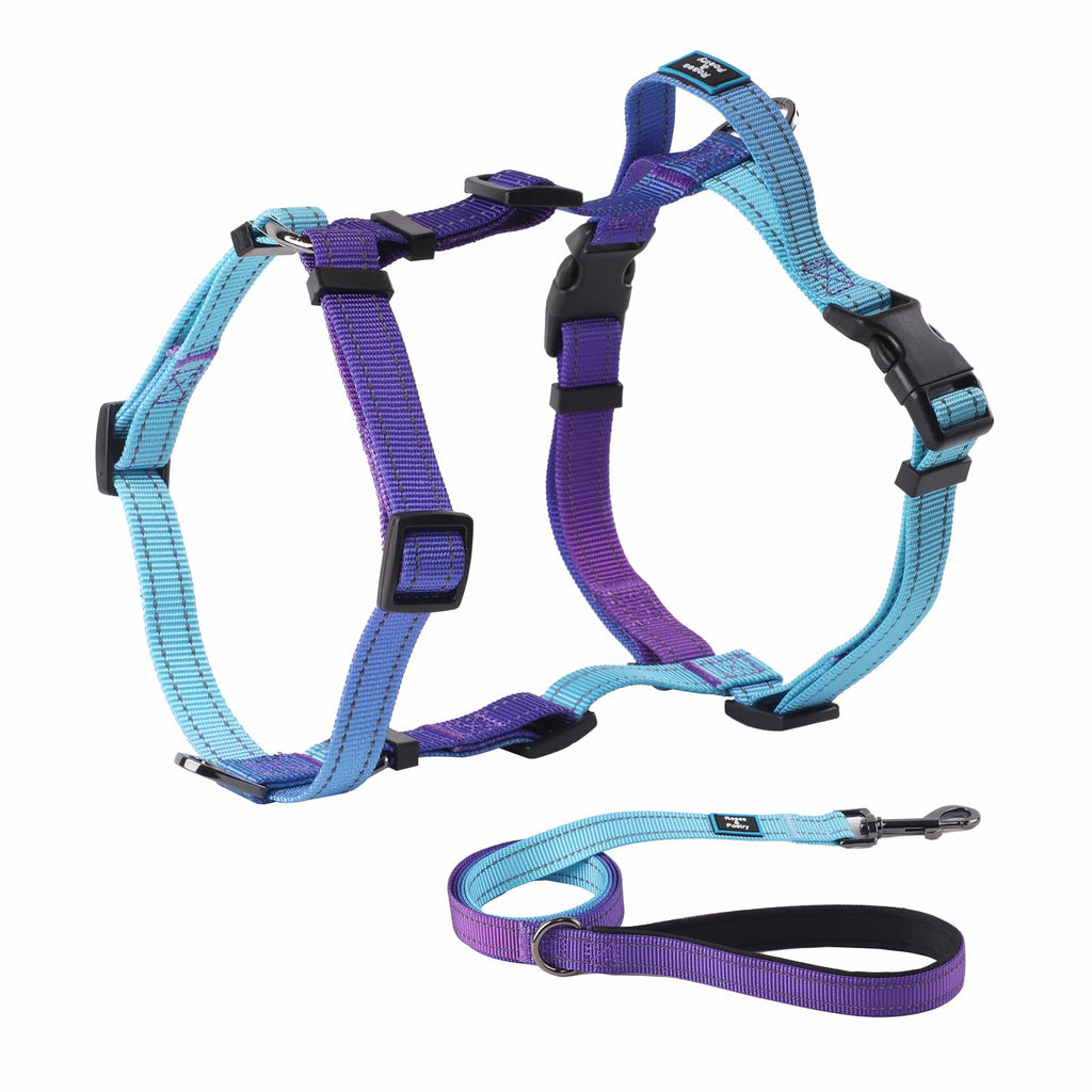 Roses&Poetry Small Dog Harness and Leash Set, No Pull Dog Harness Adjustable Reflective, Dog Halter Harnesses Comfort Padded Handle, Pet Harness for Training Outdoor Walking（Gsky-S S Violet