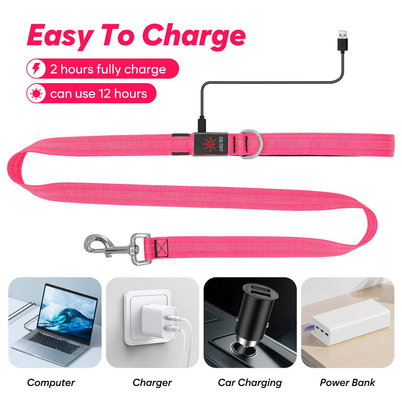 4 Ft Led Dog Leash, Rechargeable Light Up Dog Leash Waterproof, Safety Glow in The Dark Dog Leash for Night Walking, Nylon Reflective Leashes with Padded Handle for Small Medium Large Pets Pink