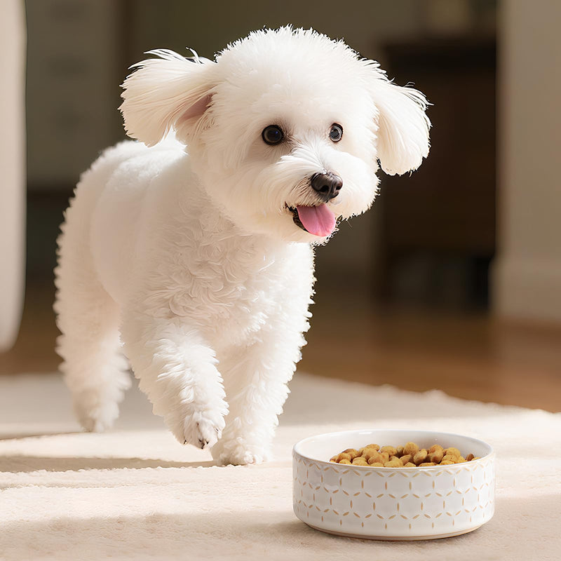MALACASA Ceramic Dog Food Bowl, 1.5 Cups or 14oz Dog Food Water Dish for Small Breeds, Cats Pet Bowl Dishwasher & Microwave Safe, Honeycomb, Series Lydia - PawsPlanet Australia