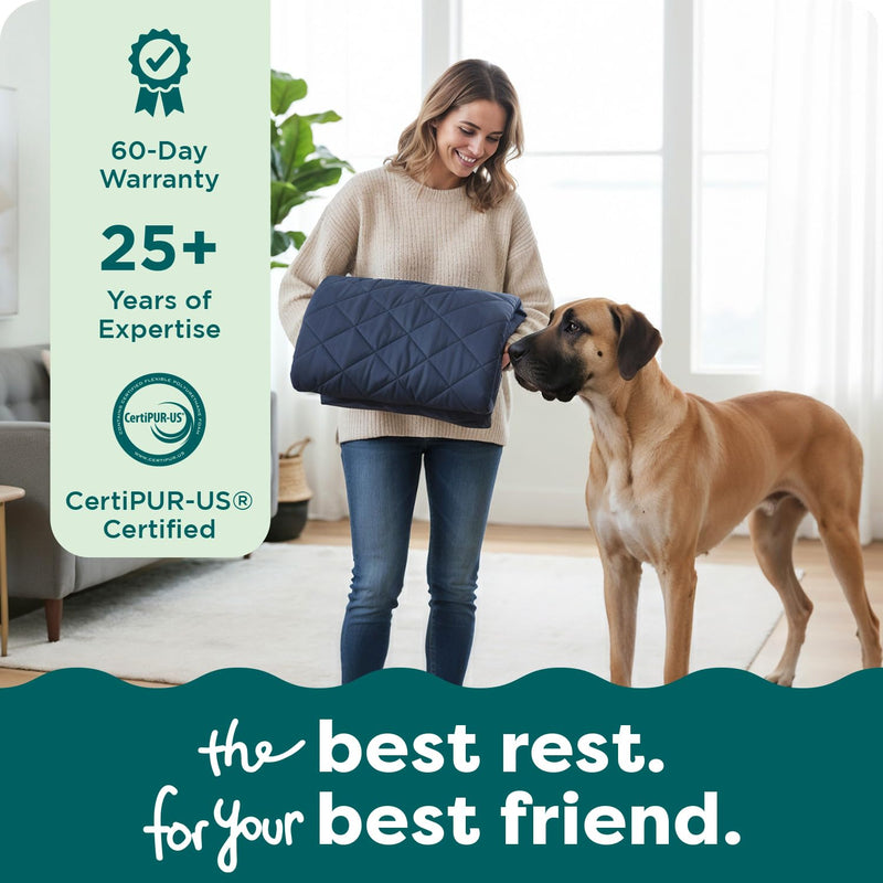 FurHaven Dog Bed Cover Replacement, Sofa-Style Design with Soft Quilted Sleep Surface for Cozy Comfort, Machine Washable, Jumbo Plus XXL, Quilted Fabric, Navy Blue - PawsPlanet Australia